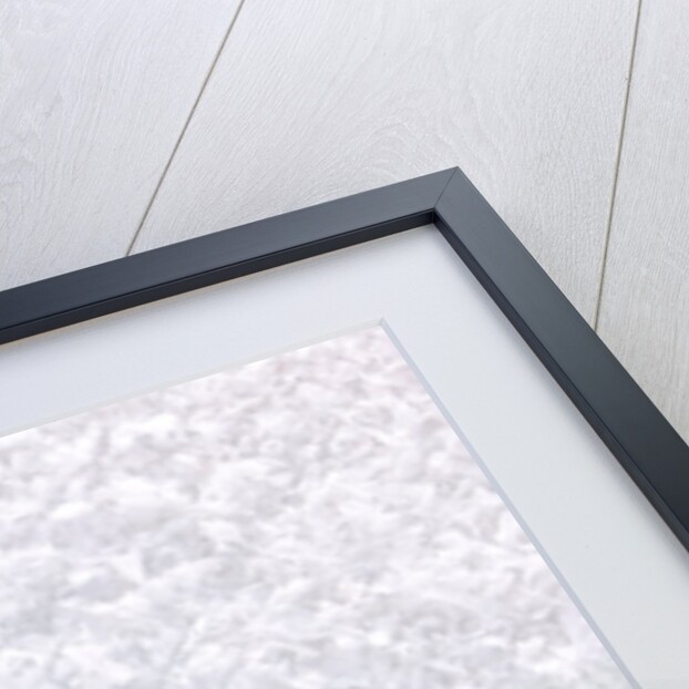 Snow background by Assaf Frank